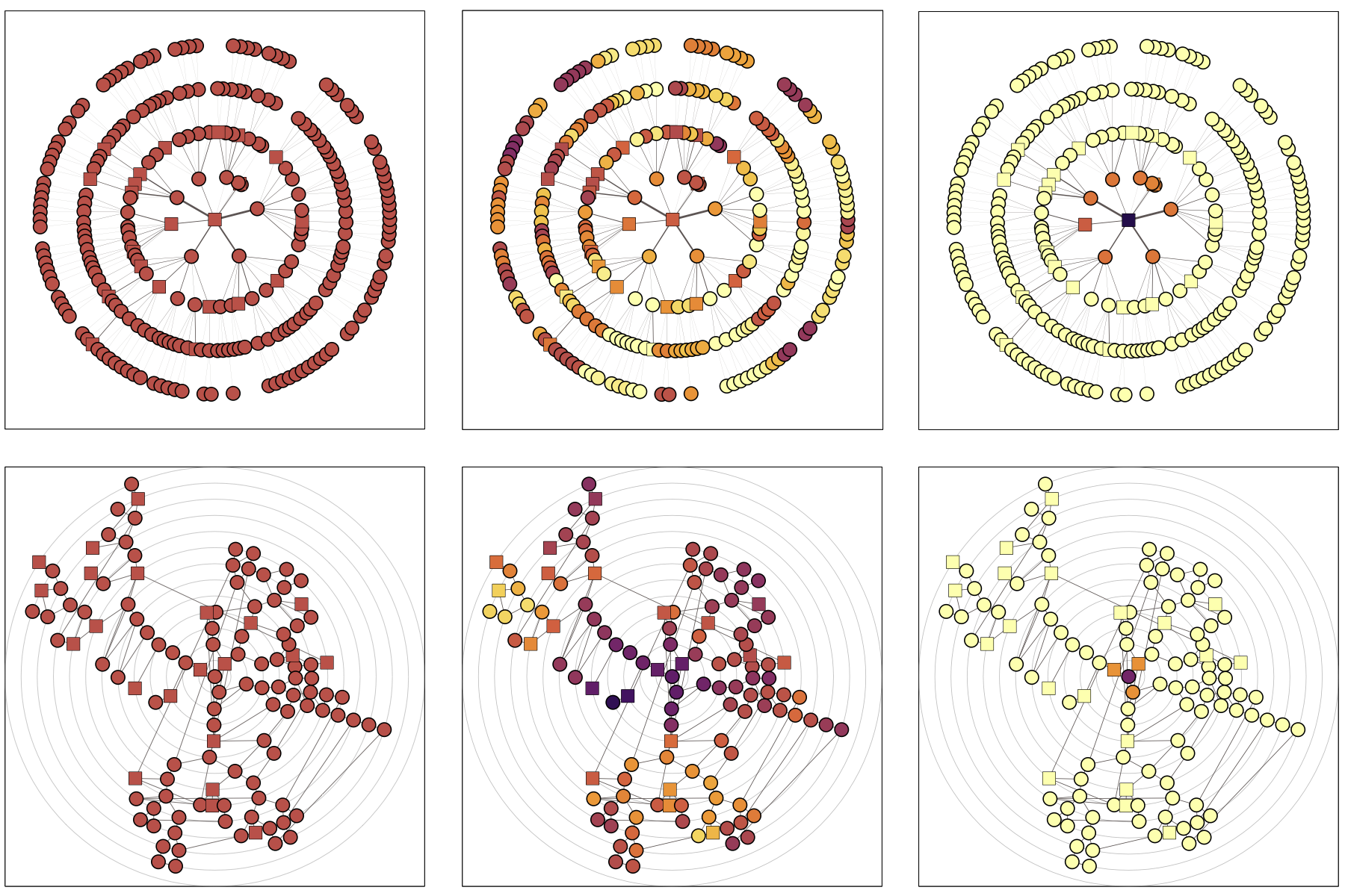 Pattern formation in complex networks home