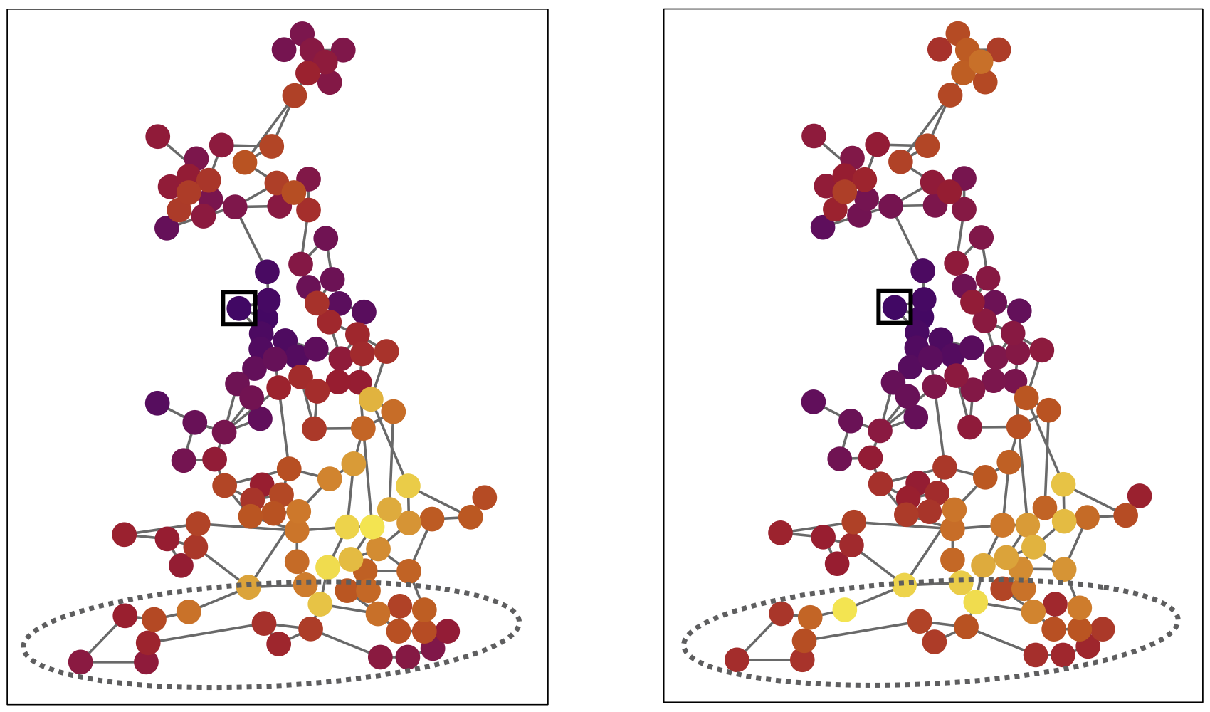 Risk assessment for complex networks home